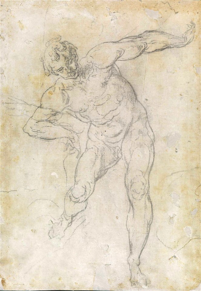 Guido Reni - Estudo de homem nu