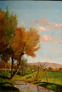 Guigou - Les grands saules