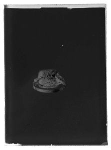 Guldring med peridot, 1600-tal - Livrustkammaren - 54166-negative