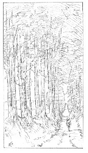 Guimet - Promenades japonaises, 1880 (page 254 crop)