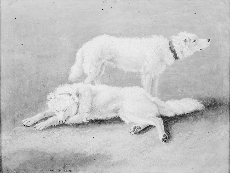 Johann Gottlieb Hackert - Zwei Hunde