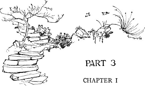 Gulliver-Rackham-185