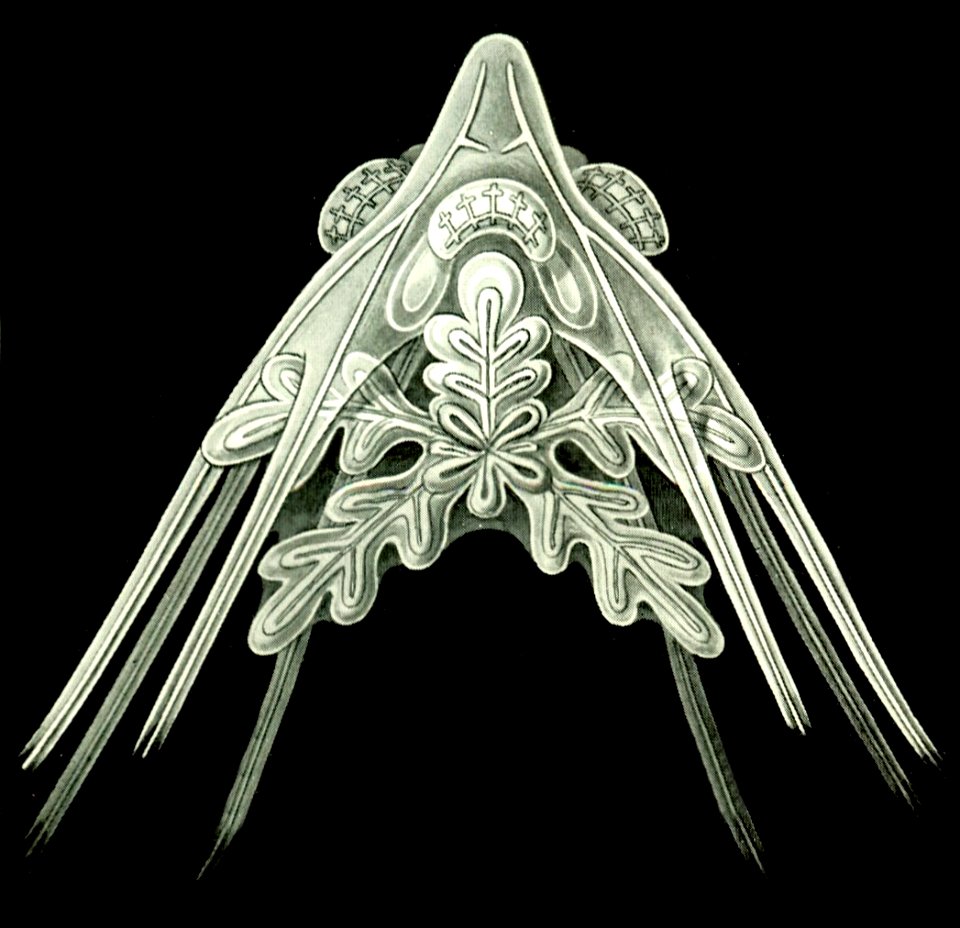 Haeckel Amphoridea-9