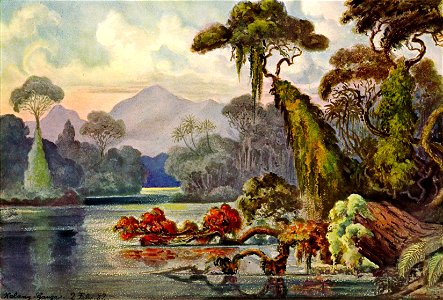 Haeckel 19