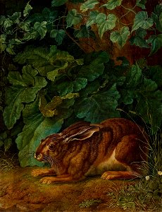 Jacob Philipp Hackert - Hase im Gebüsch (1803)