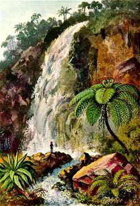 Haeckel 03