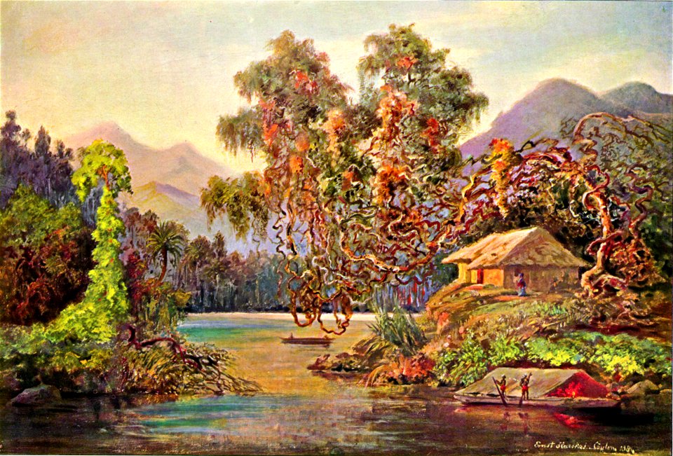 Haeckel 22