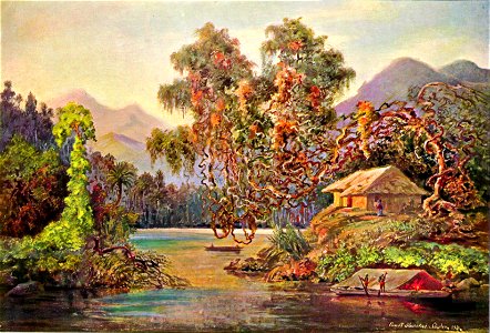Haeckel 22