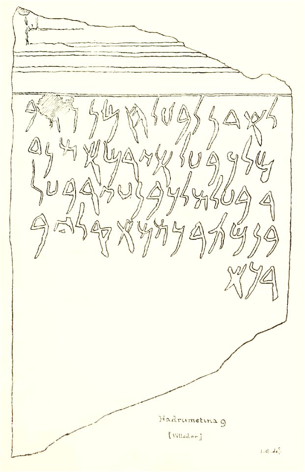 Hadrum 9 in Julius Euting's Punische Steine Table XXXIII (cropped)