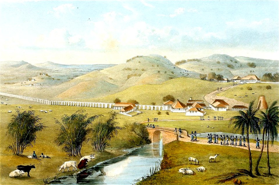 Hakewill, A Picturesque Tour of the Island of Jamaica, Plate 12