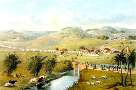 Hakewill, A Picturesque Tour of the Island of Jamaica, Plate 12