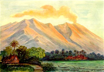Haeckel 04