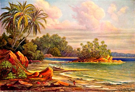 Haeckel 24