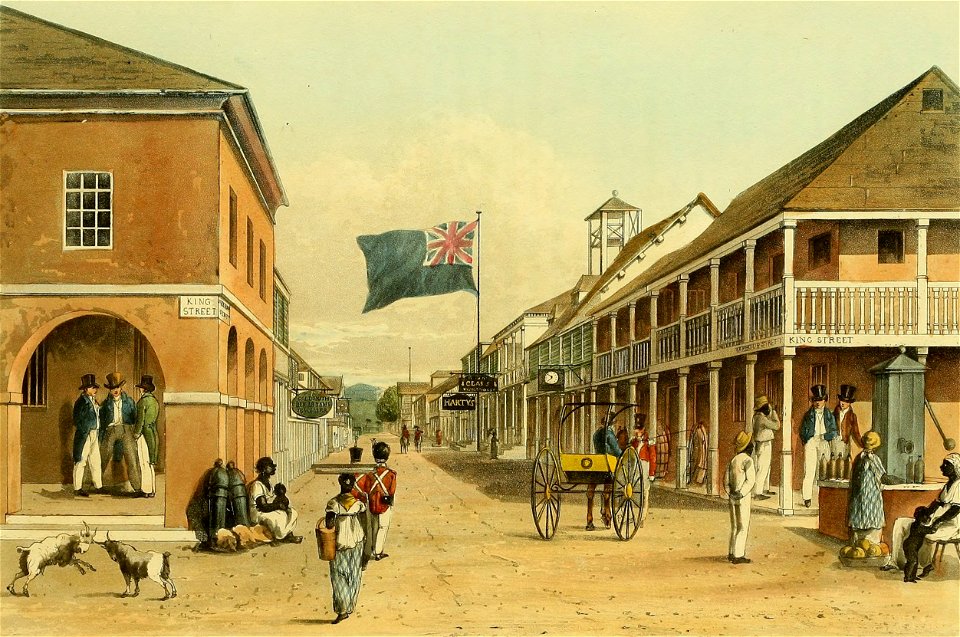 Hakewill, A Picturesque Tour of the Island of Jamaica, Plate 04