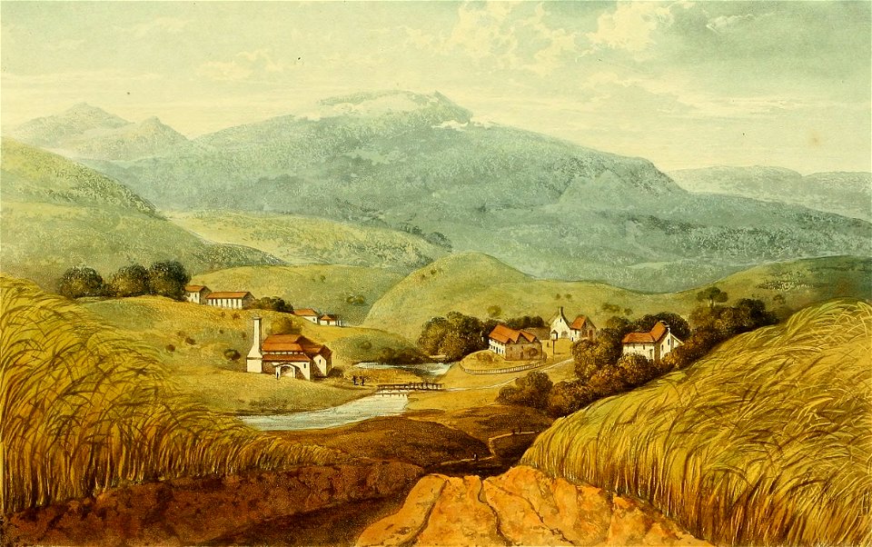 Hakewill, A Picturesque Tour of the Island of Jamaica, Plate 16