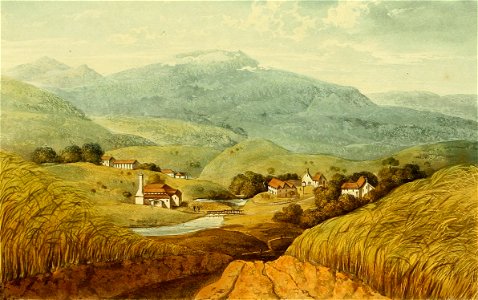 Hakewill, A Picturesque Tour of the Island of Jamaica, Plate 16