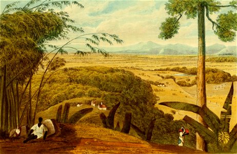 Hakewill, A Picturesque Tour of the Island of Jamaica, Plate 14
