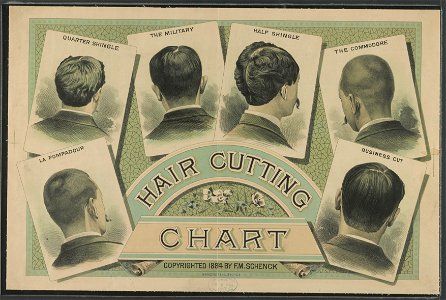 Hair cutting chart LCCN2003679985