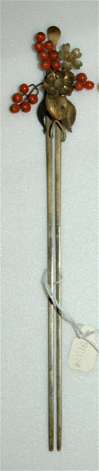 Hairpin-Ear Wax Remover (5765354099)