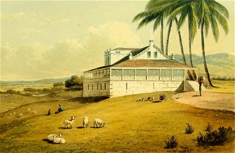 Hakewill, A Picturesque Tour of the Island of Jamaica, Plate 17