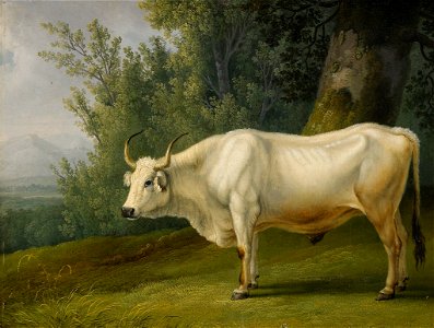 Jakob Philipp Hackert - Landschaft mit Stier