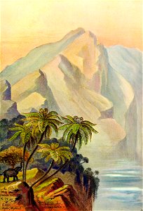 Haeckel 12