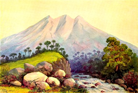 Haeckel 20