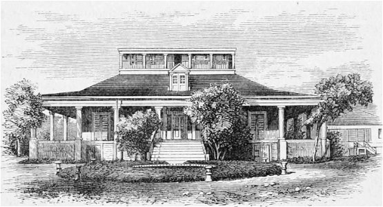 Hale Alii illustration bw