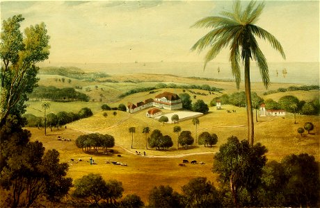 Hakewill, A Picturesque Tour of the Island of Jamaica, Plate 13