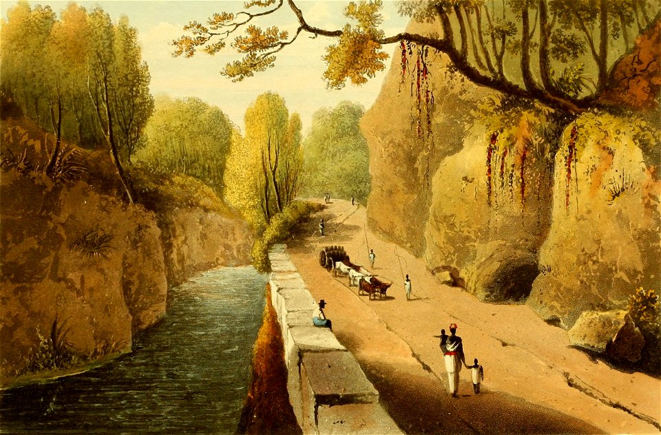 Hakewill, A Picturesque Tour of the Island of Jamaica, Plate 15