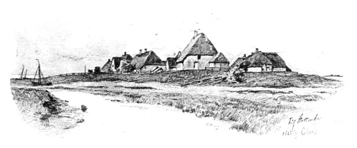 Hallig Oland 01
