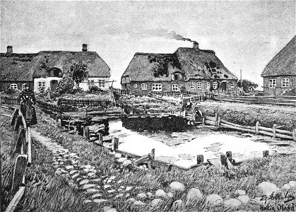 Hallig Oland Fething 01