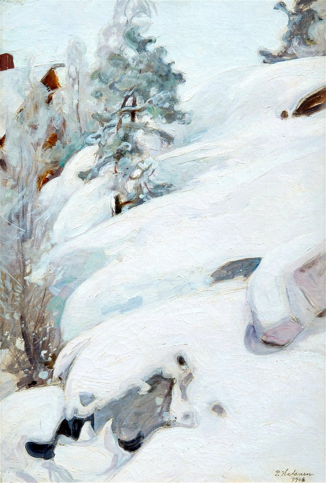 Halonen Winter landscape