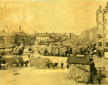 Halmtorvet c. 1900