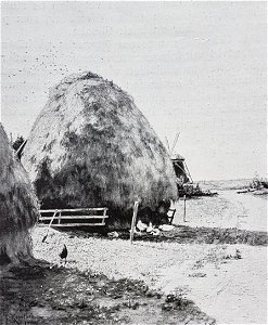 Halmstackar x Johan Krouthén