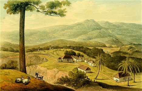 Hakewill, A Picturesque Tour of the Island of Jamaica, Plate 07