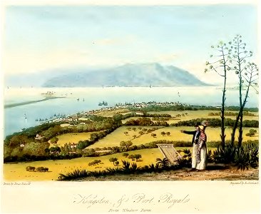 Hakewill, A Picturesque Tour of the Island of Jamaica, Plate 03