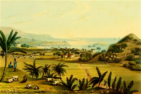 Hakewill, A Picturesque Tour of the Island of Jamaica, Plate 11