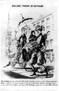 Halloo! Turks in Gotham LCCN2008661791