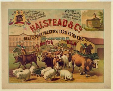 Halstead & Co. beef & pork Packers, Lard Refiners & Co LCCN2004666432