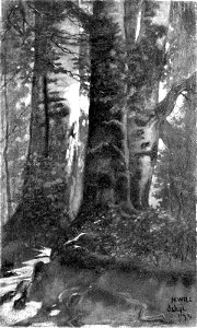 Hamilton H. Wild - Ischl, Austria - 13.462 - Museum of Fine Arts