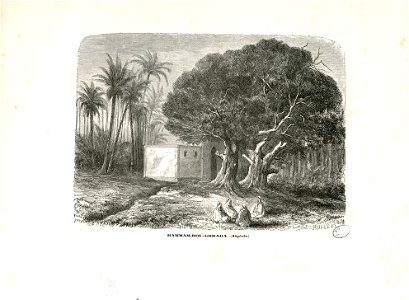 Hammam-Bou-Ghrara (i.e. Hammam-Boughrara) - Fonds Ancely - B315556101 A BERTHIER 110