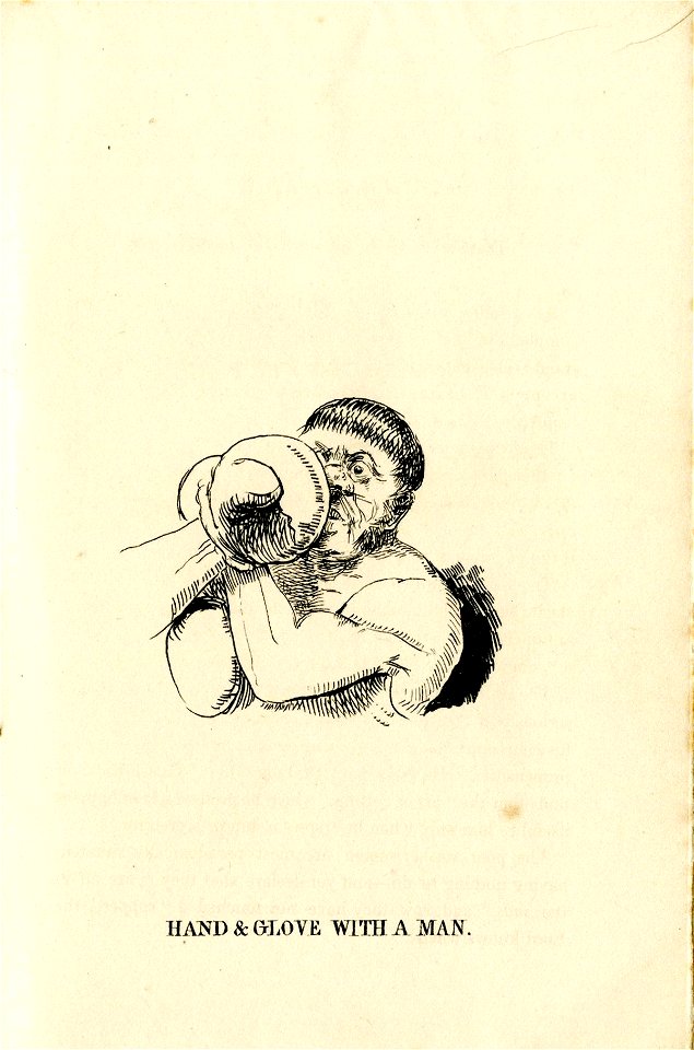 Hand & Glove with a Man. (BM 1875,0710.1295)