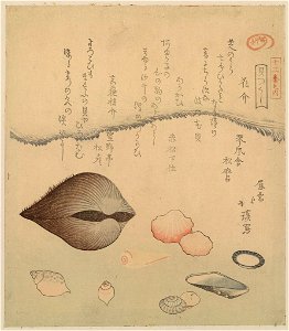 Hana gai aragai masuō gai LCCN2009615102