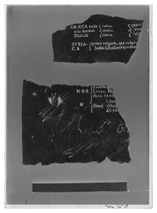 Handhästtäcke till handhäst ur Ludvig XIVs gåva till Karl XI 1673, den s.k. franska gåvan - Livrustkammaren - 35906-negative