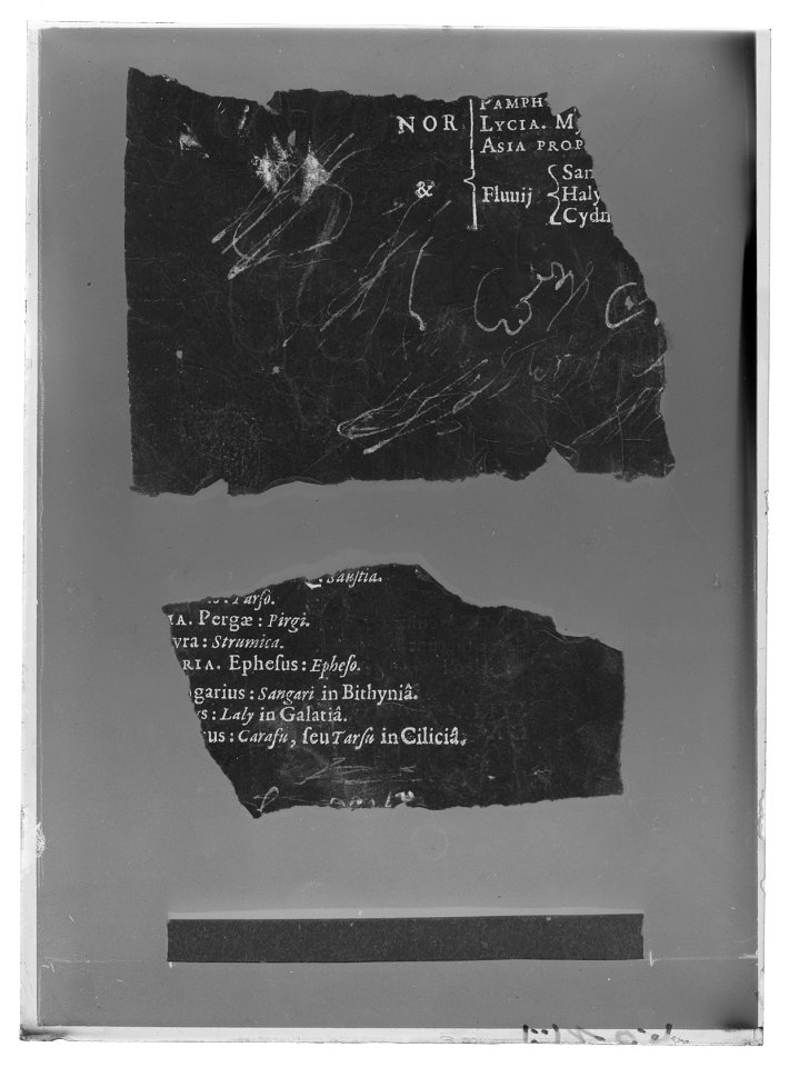 Handhästtäcke till handhäst ur Ludvig XIVs gåva till Karl XI 1673, den s.k. franska gåvan - Livrustkammaren - 27345-negative