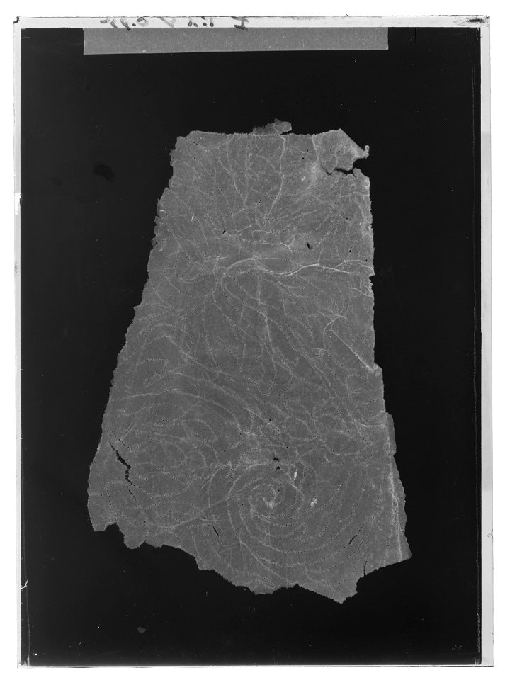 Handhästtäcke till handhäst ur Ludvig XIVs gåva till Karl XI 1673, den s.k. franska gåvan - Livrustkammaren - 10221-negative