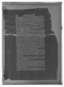 Handhästtäcke till handhäst ur Ludvig XIVs gåva till Karl XI 1673, den s.k. franska gåvan - Livrustkammaren - 70173-negative