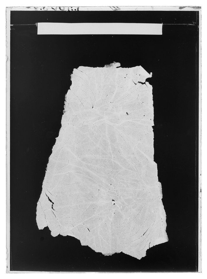 Handhästtäcke till handhäst ur Ludvig XIVs gåva till Karl XI 1673, den s.k. franska gåvan - Livrustkammaren - 1661-negative