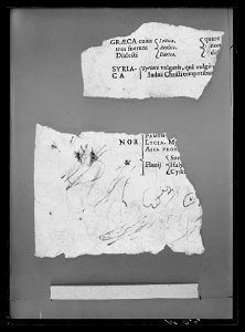 Handhästtäcke till handhäst ur Ludvig XIVs gåva till Karl XI 1673, den s.k. franska gåvan - Livrustkammaren - 35906